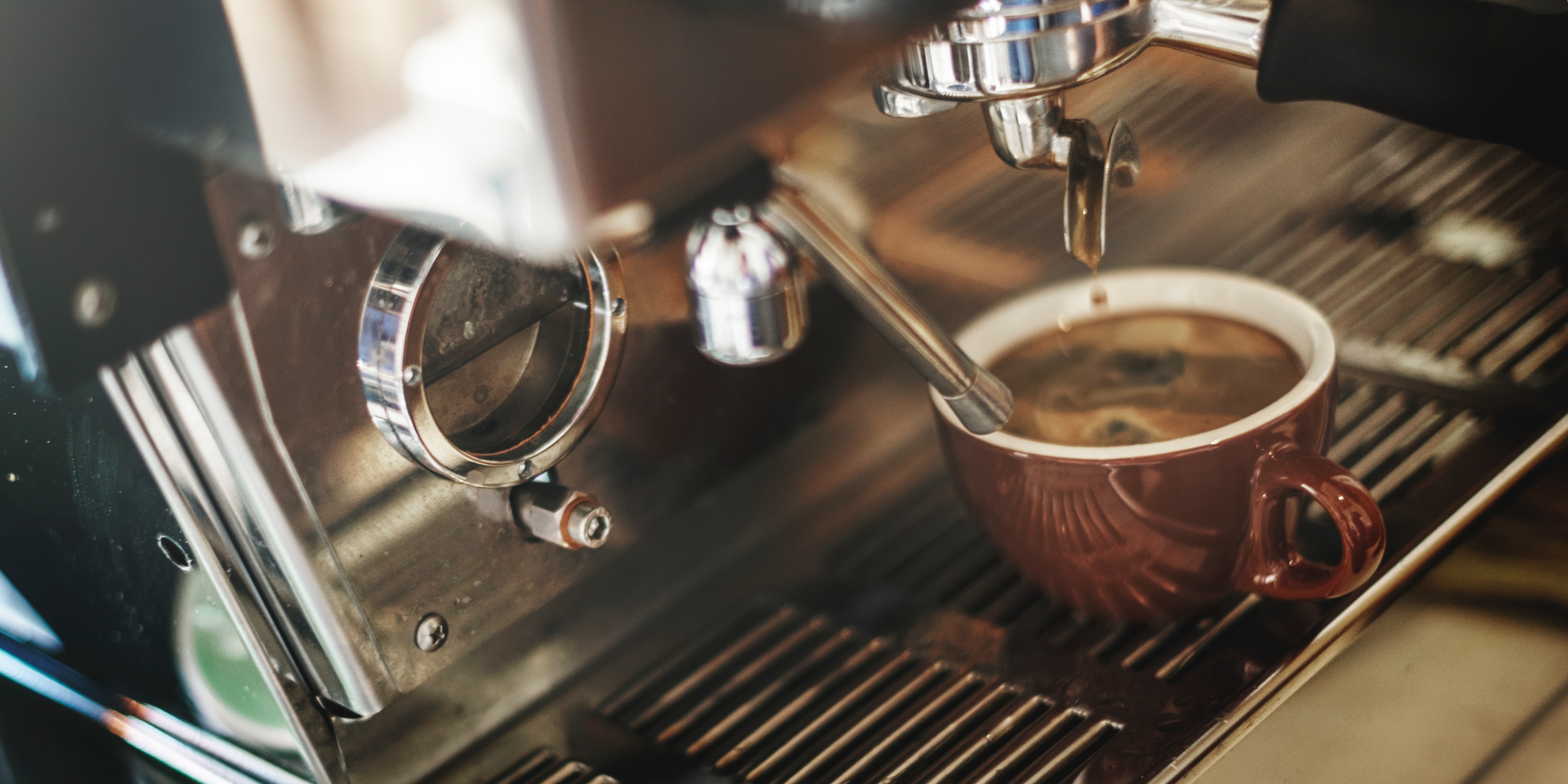 attractive-bar-barista-296888